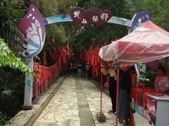 -蝴蝶泉公园