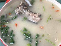 -煲来饱去冷水鱼