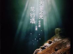 -中岜朗天坑(CV GEO INDO RAYA)
