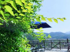 -云端咖啡(古北水镇景区店)