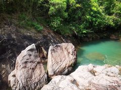 -广州白江湖森林公园