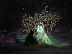 -合肥大剧院
