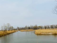 -野鸭湖国家湿地公园