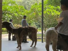 -南宁荔园维景国际酒店·荔园中餐厅