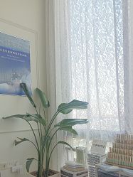 -LUNA皮相美·骨相美高级美感