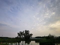 -美家乐农庄·露营·团建(大治路店)