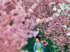-洛阳市隋唐城遗址植物园