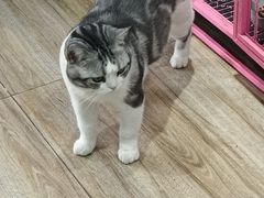 -百金通黄金回收首饰定制维修(珠江路总部)