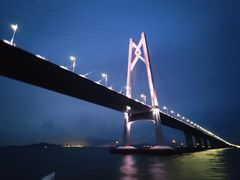 -招商蛇口邮轮母港(观光客运)