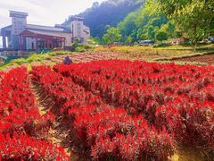 -宝晶宫旅游景区