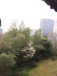 -金芙美月子中心(财富别墅店)