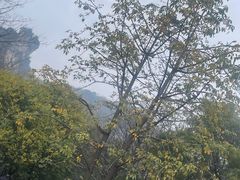 -柳州市动物园