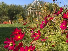 -渔公馆·川菜馆·家宴·生日宴(大地中央广场店)