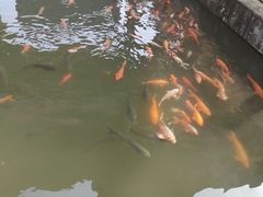 -威海华夏城景区