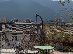 -喵屿·大理花园猫咖