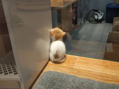 -狗道宠物(常熟印象城店)
