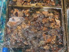 -映像威海·海鲜味道(市区店)
