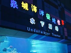 -泉城欧乐堡海洋极地世界