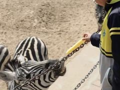 -荆州中山公园动物园