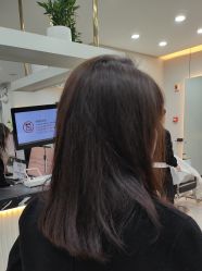 -YESIDO椰岛造型