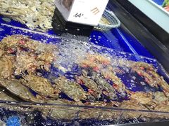 -盒马鲜生(新都心店)