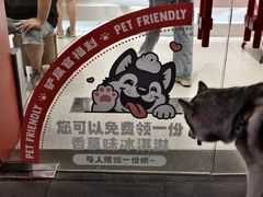 -DQ·蛋糕·冰淇淋(五角场万达店)