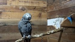 -Zoolung Zoolung动物主题公园(海信广场店)