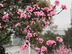 -重庆彩云湖湿地公园