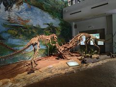 -自贡恐龙博物馆