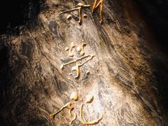 门面-新荣记(西溪湿地店)