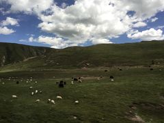 -橡皮山