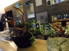 -茅庐·川粤精品私房菜(金沙遗址店)