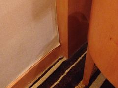 -七星国际商务酒店