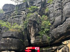 -梭布垭石林景区