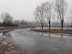 -东郊湿地公园