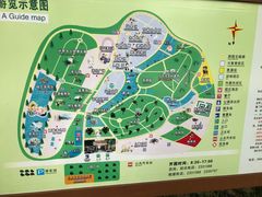 -广东茂名森林公园