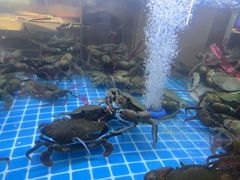 -徐记小怪兽肉蟹煲(中央大街店)