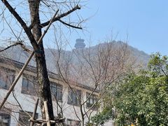 -杭州半山国家森林公园