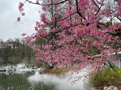 -东湖磨山景区