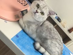 -达爱动物医院·犬猫分区·CT·复杂眼科(远洋山水分院)