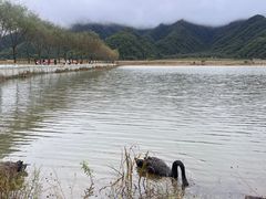 -大九湖