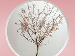 -贺加贝化妆美甲培训学校