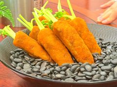 -丁老爷子苏香圆