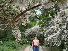 -国家植物园南园