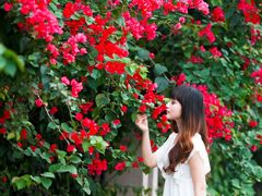 -陕北民歌大舞台