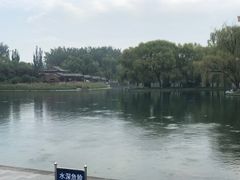 -百脉泉景区