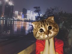 -青岛第三海水浴场