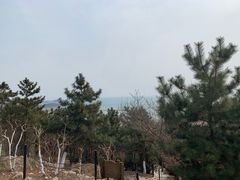 -石老人观光园