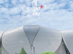 -杭州奥体中心-体育场