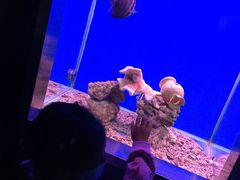 -秦皇岛新澳海底世界